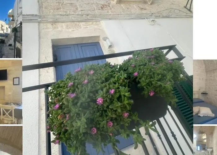 La Petra 切列梅萨皮卡